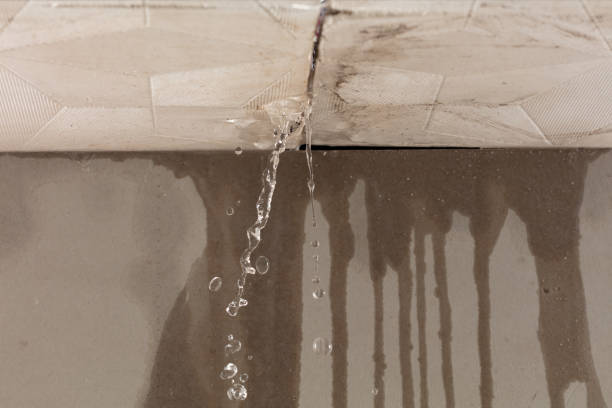 Professional Structural Drying technician working in Prairie Hill, TX